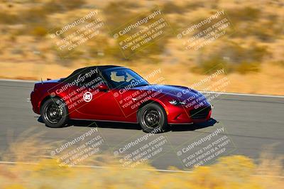 media/Nov-16-2024-Extreme Speed (Sat) [[6587d07cc4]]/Purple Group/Session 3 (The Bowl)/